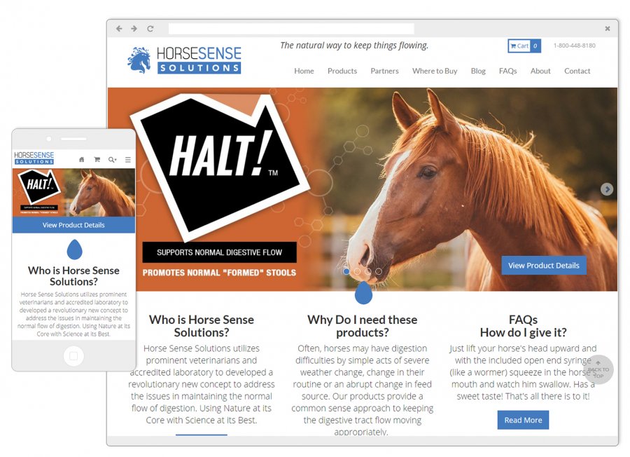 Horse Sense Website and Mobile Design