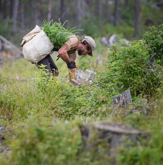 Helping the environment 