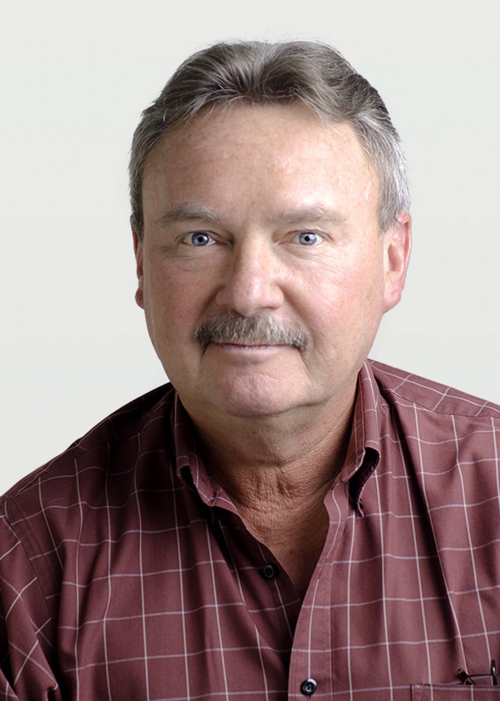Terry Palis