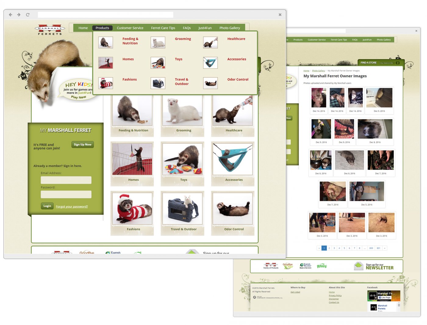 Ferret Owners Image Gallery & Owner Member Center