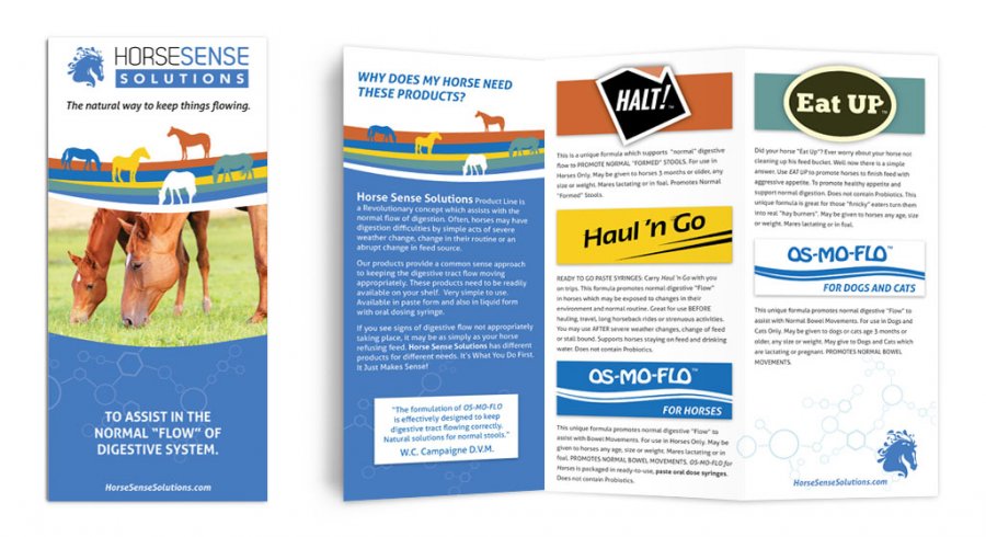 Horse Sense - Tri-fold Brochure